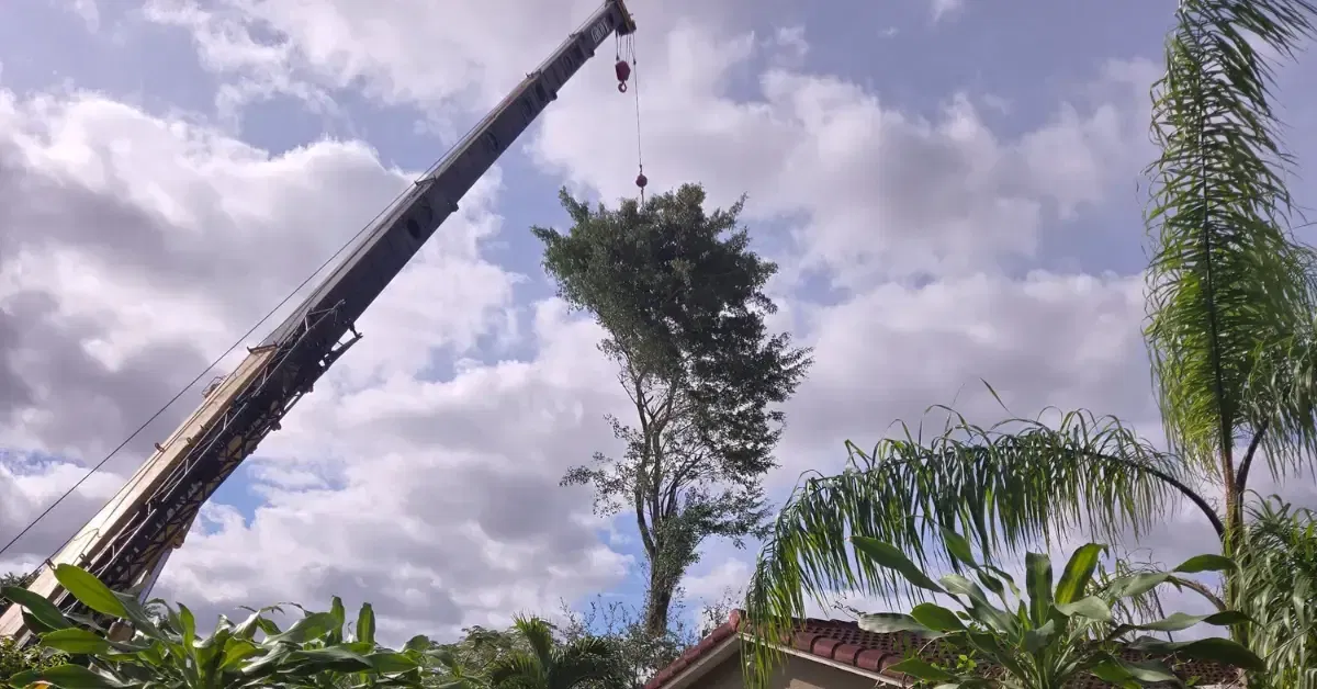 Emergency crew clearing a storm-damaged tree in Fort Lauderdale, FL