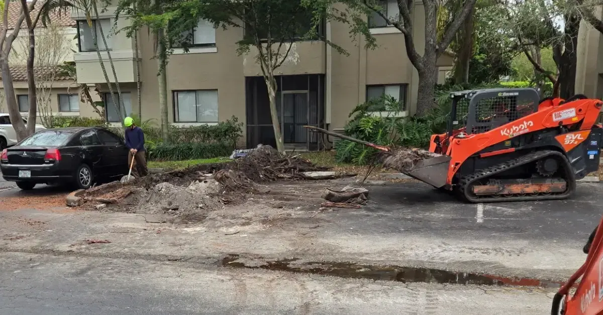 Landscape installation project completed in Fort Lauderdale, FL