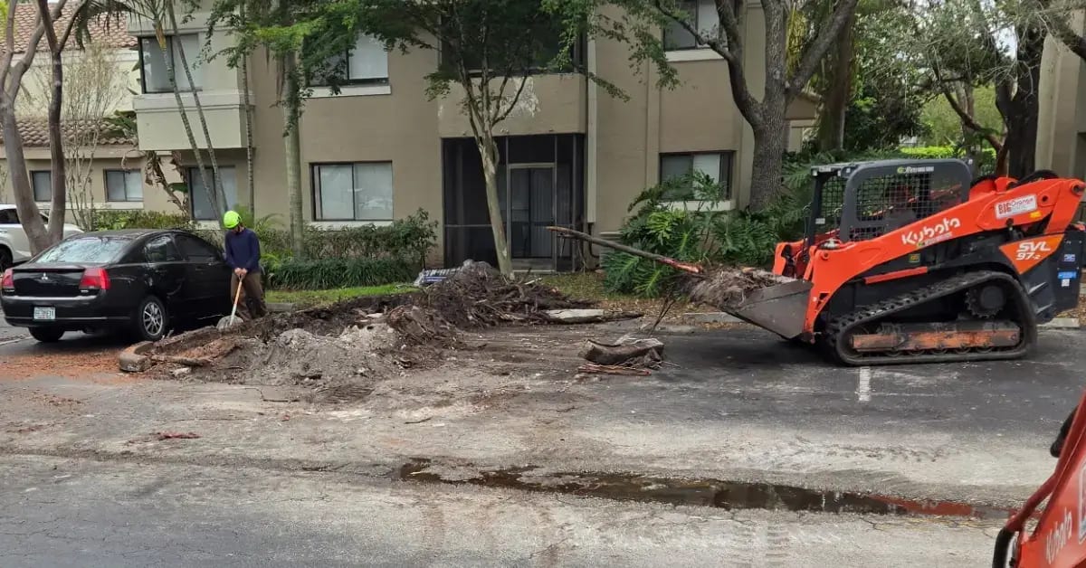 Landscape installation project completed in Fort Lauderdale, FL