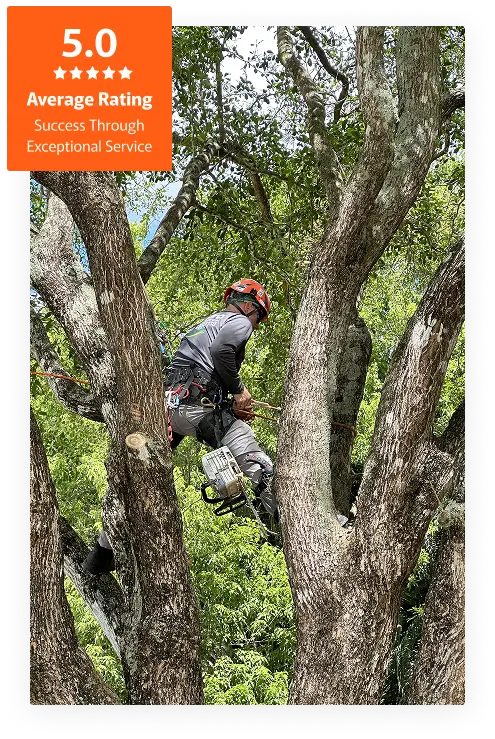 Commercial Tree Service